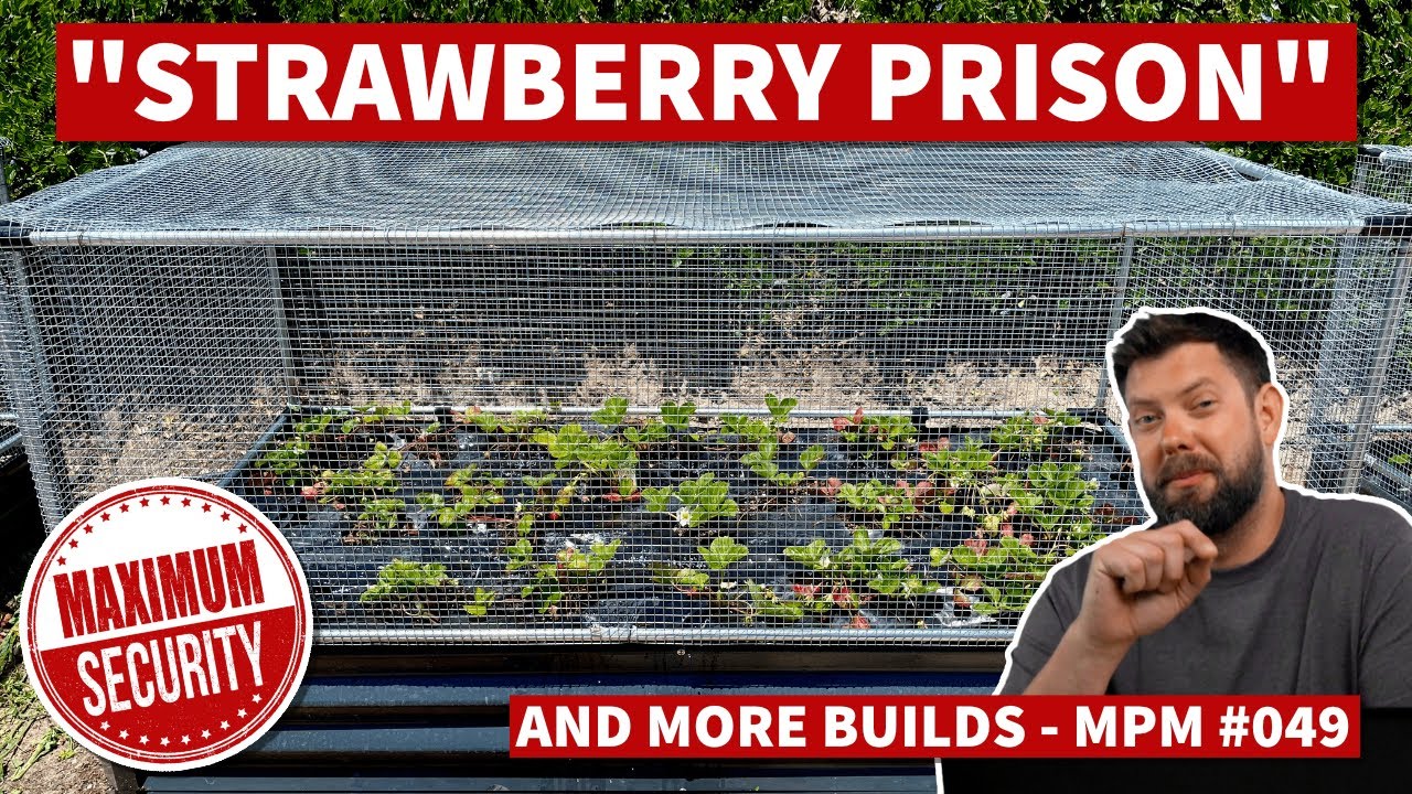 Maximum Security Strawberry Prison?! | Maker Pipe Monday - 049