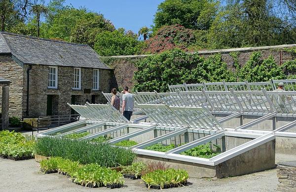 How to Build Cold Frames for Spring Gardening - Maker Pipe