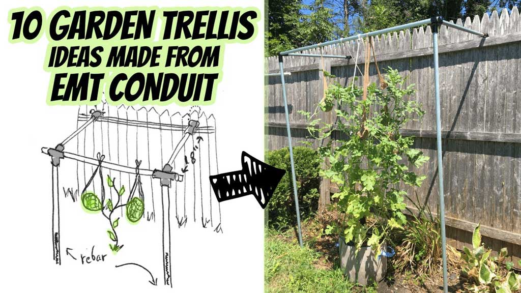 10 Trellis Ideas That Anyone Can Make Real