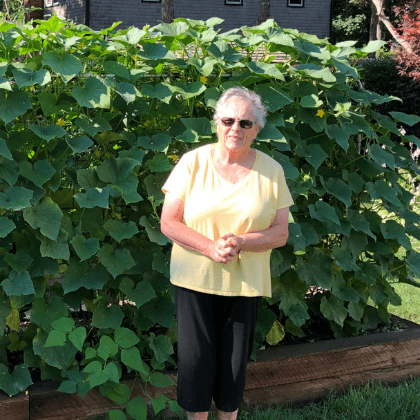 Should You Make Your Own Garden Structures?