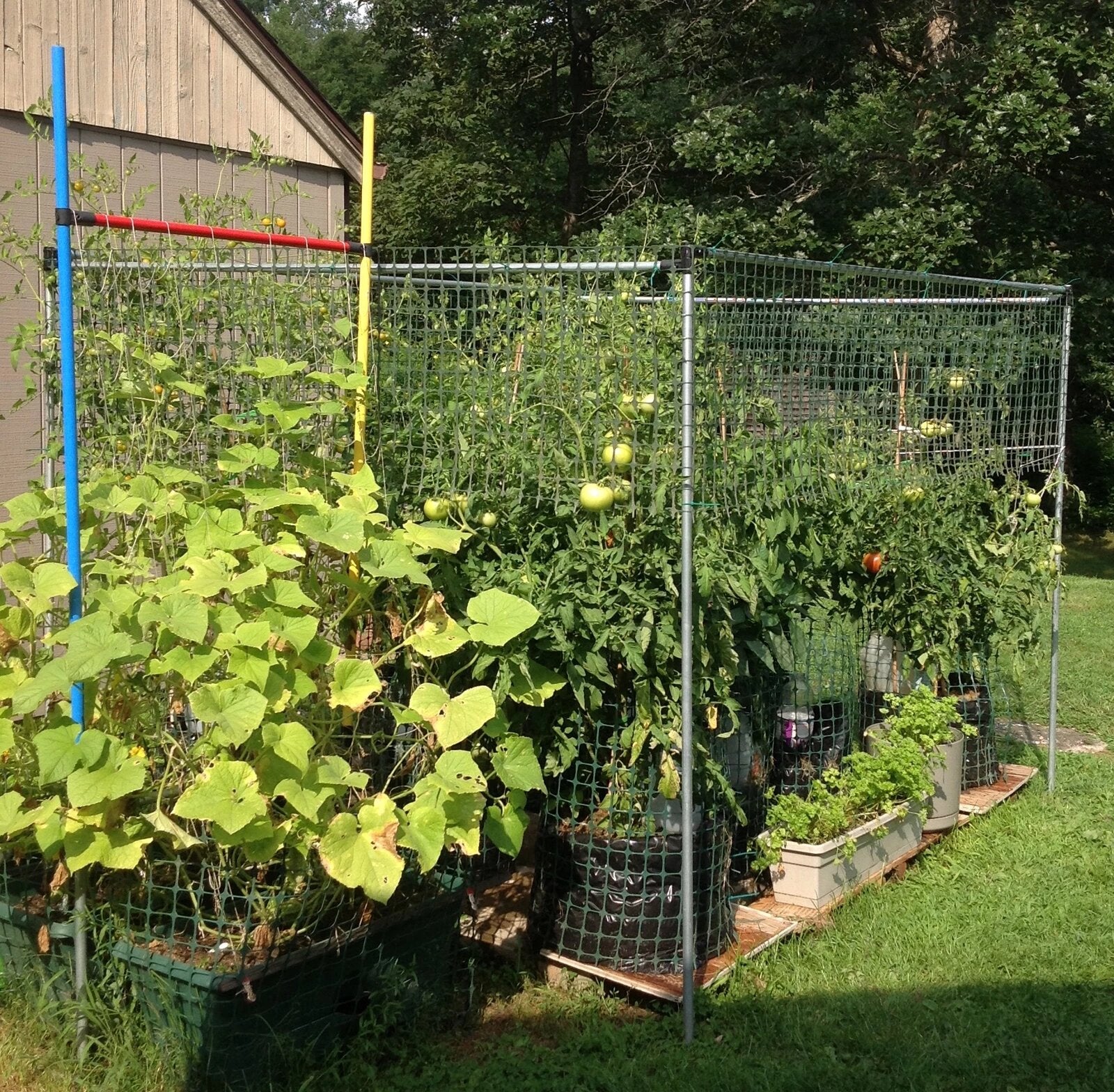 Conduit Pipe Garden Trellis