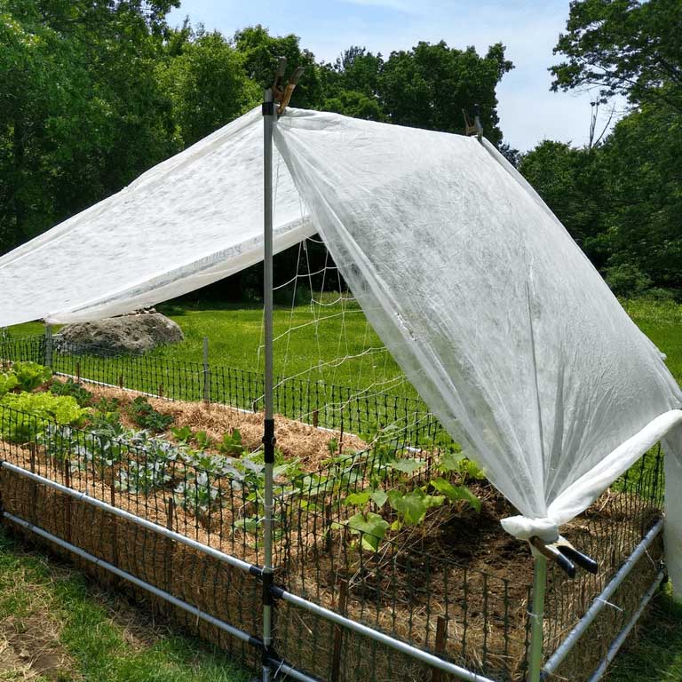 Raised Garden Bed With Trellis And Covering